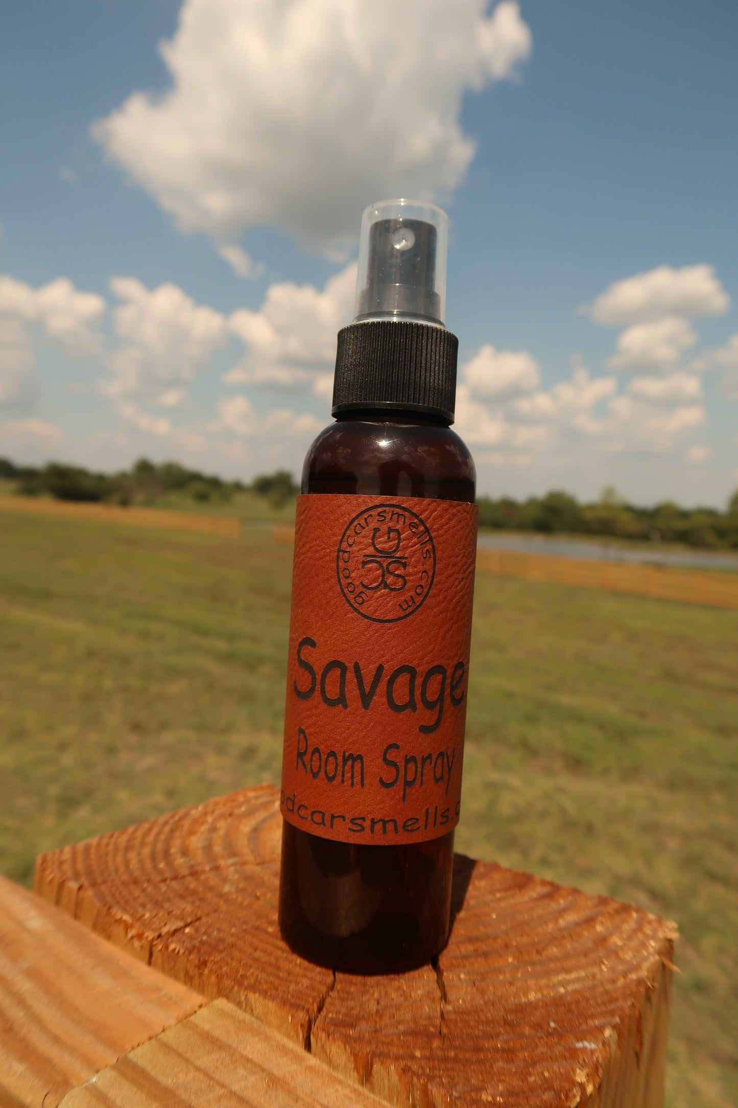 Room Spray - Savage